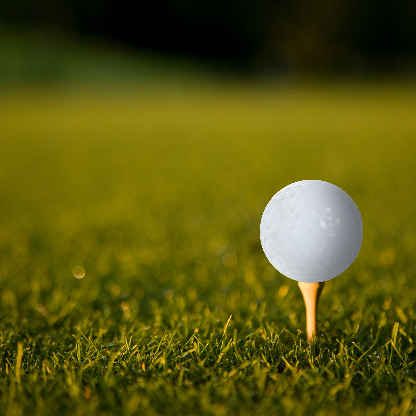 Golf Equipment For Beginners - Equipo de bolas de golf para