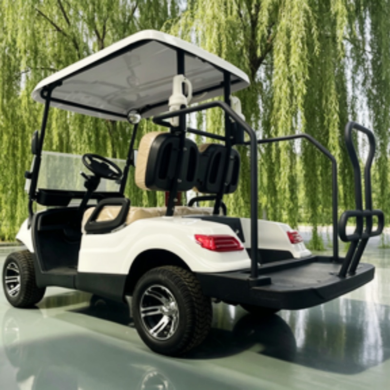 Golf Bag Stand Cart - Carrito de golf eléctrico chino con