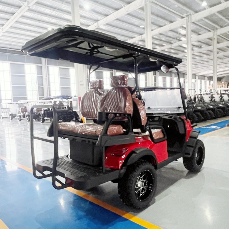 Carrito de Golf Eléctrico Dire - Golf Bag Stand Cart reseña y precio