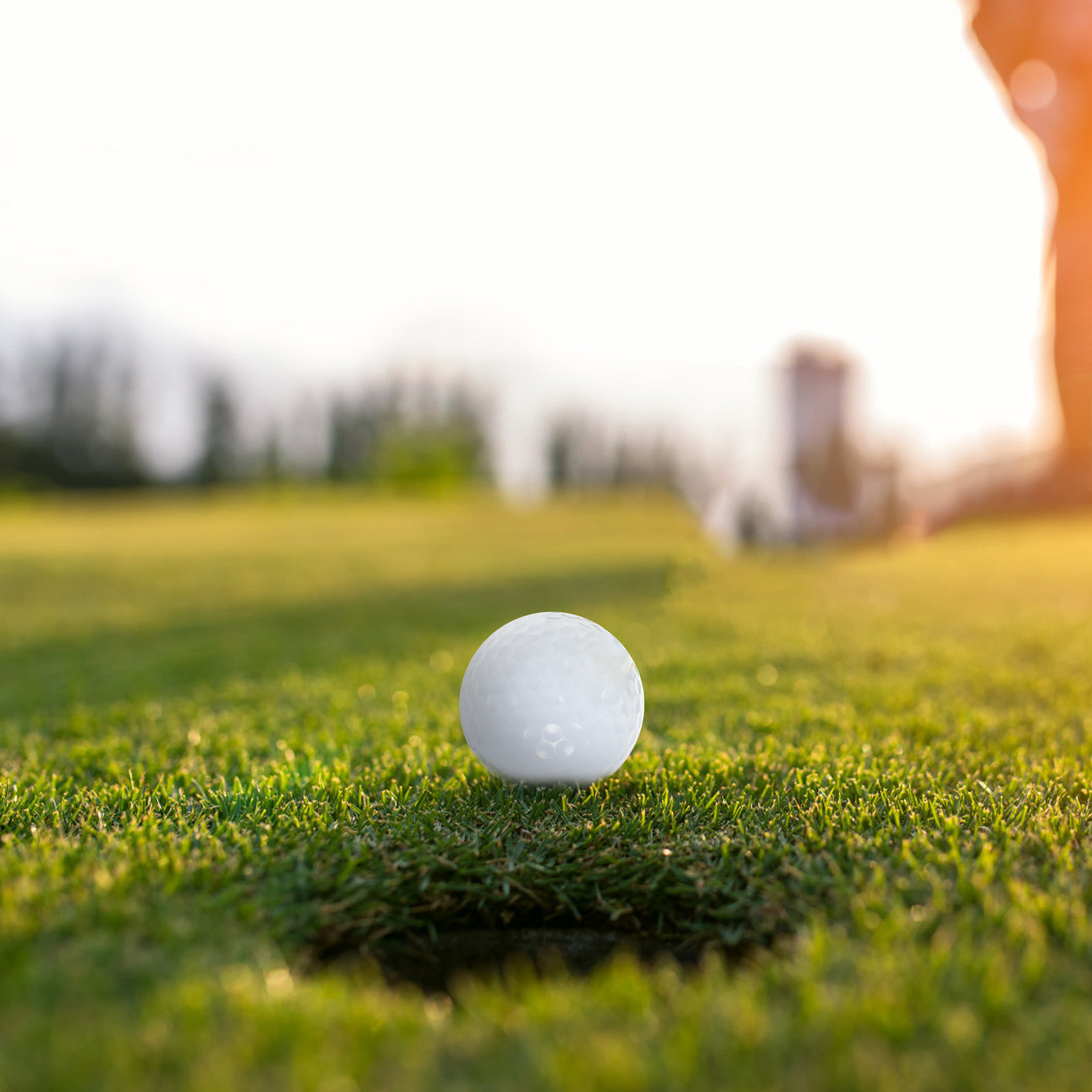 Equipo de bolas de golf para p - Golf Equipment For Beginners reseña y precio