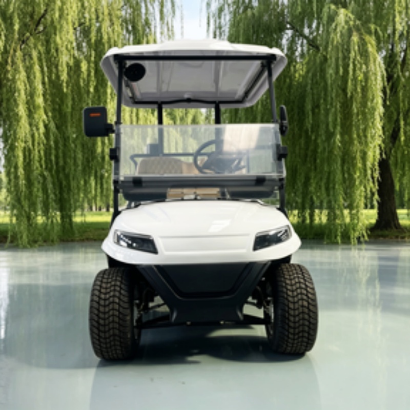 Carrito de golf eléctrico chin - Golf Bag Stand Cart reseña y precio