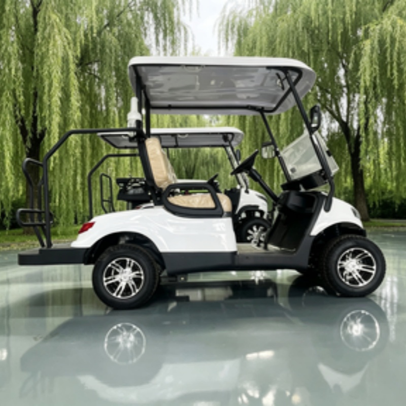 Carrito de golf eléctrico chin - Golf Bag Stand Cart reseña y precio