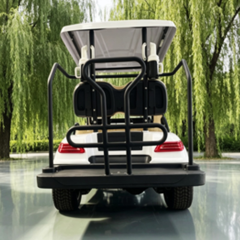 Carrito de golf eléctrico chin - Golf Bag Stand Cart reseña y precio