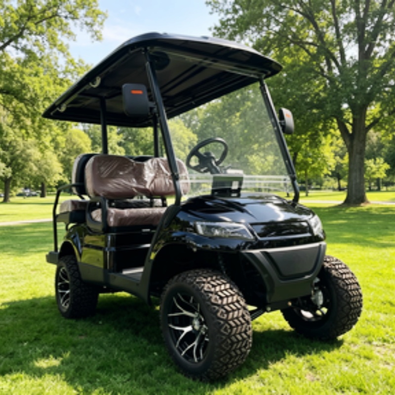 Carrito de golf eléctrico de 2 - Golf Bag Stand Cart reseña y precio