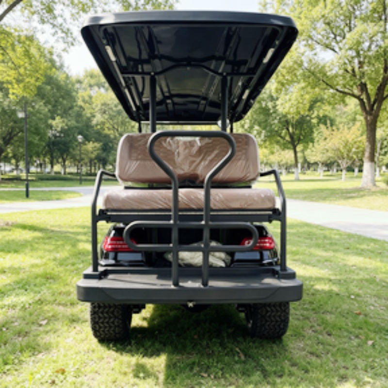 Carrito de golf eléctrico de 2 - Golf Bag Stand Cart reseña y precio