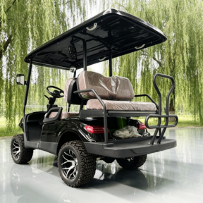Carrito de golf eléctrico de 2 - Golf Bag Stand Cart reseña y precio
