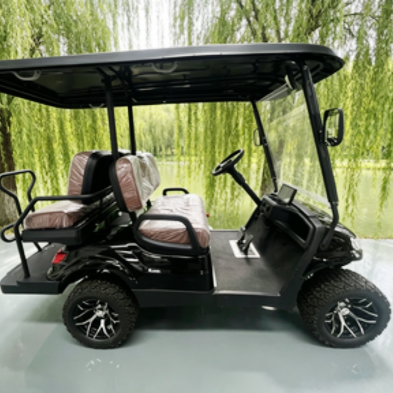 Carrito de golf eléctrico de 2 - Golf Bag Stand Cart reseña y precio