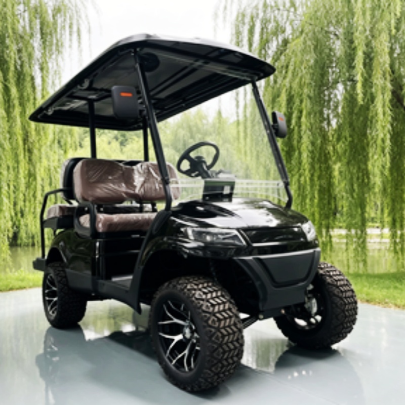 Carrito de golf eléctrico de 2 - Golf Bag Stand Cart reseña y precio